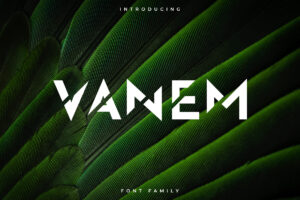Vanem